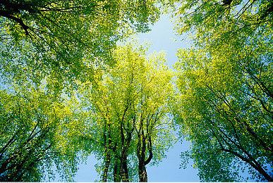 第六赛季之后 《守望先锋2》暂时不会推出更多PvE内容